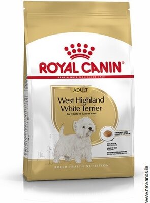 West Highland White Terrier 1.5kg