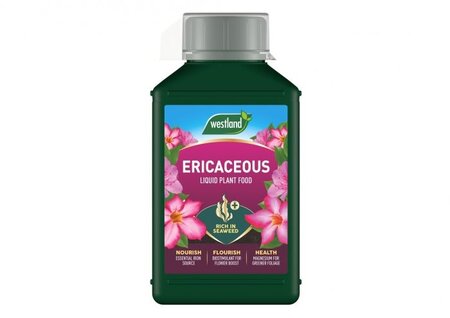 Westland Ericaceous Specialist Liquid Feed 1L