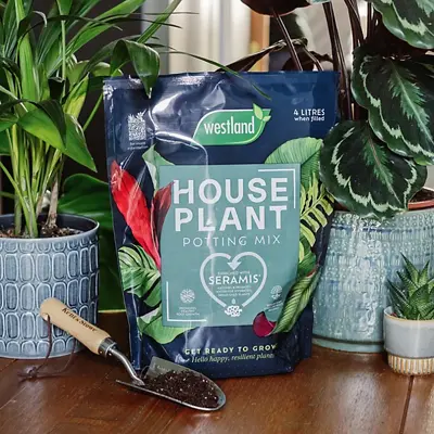 Westland Houseplant Potting Mix 4L