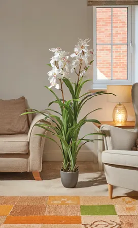 White Orchid 140cm