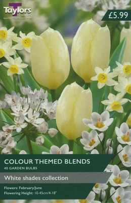 White Shades Collection AV