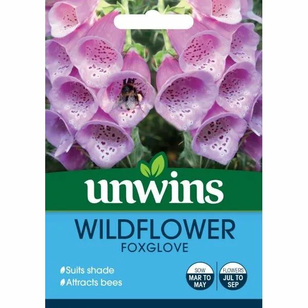 Wildflower Foxglove Jones Garden Centre