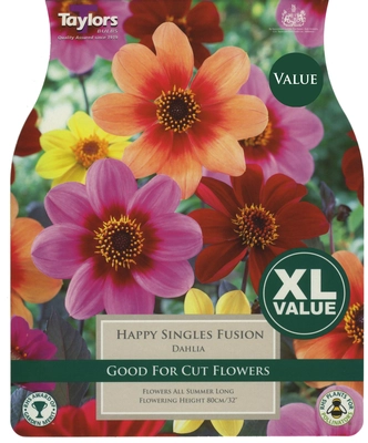 Xl Value Dahlia Happy Singles Fusion - image 2