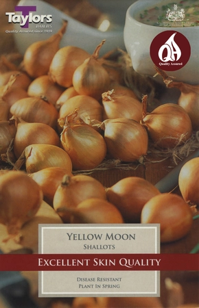 Yellow Moon Shallots 7-13