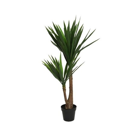 Yucca In Pot Plastic H122cm