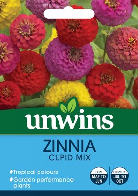 Zinnia Cupid Mix