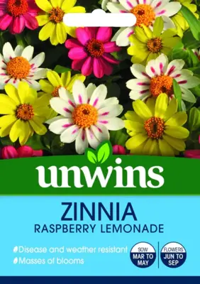 Zinnia Raspberry Lemonade